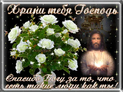 Храни Вас Бог, мои Друзья!!! 17.08.2022🙏🌹😘💋💖 | Открытки, Утренние  сообщения, Картинки