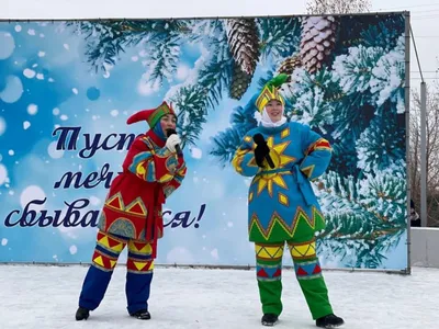 Как живет беркут в домашних условиях в Тюмени, особенности ухода за хищными  птицами дома - 23 июля 2023 - 72.ru