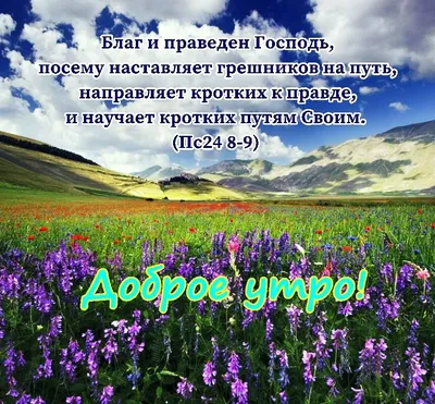 Комплект одинарных христианских открыток с Молитвами, ободрением,  наставлением и благодарностью 40 шт. (ID#1180272654), цена: 140 ₴, купить  на Prom.ua