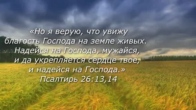 12 Библейские стихи о красоте - DailyVerses.net