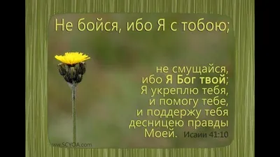 Думай о Вечном - #ОбетованиеКаждыйДень 🙏🏻 #Библия #БиблейскиеОбетования  #Обетование #ободрение #христиане | Facebook