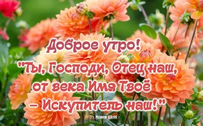 Пин от пользователя Svetlana Meskiene на доске Доброе утро | Библейские  цитаты, Благодарные цитаты, Христианские цитаты