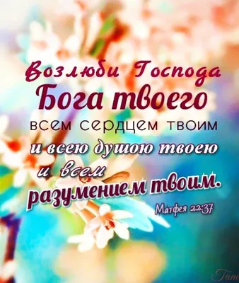 Христианские открытки на каждый день недели с библейским текстом. |  Христианские открытки | Дзен