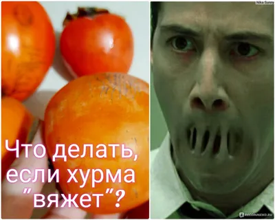 Какая не вяжет: 6 вкусных сортов хурмы — Журнал Едадила