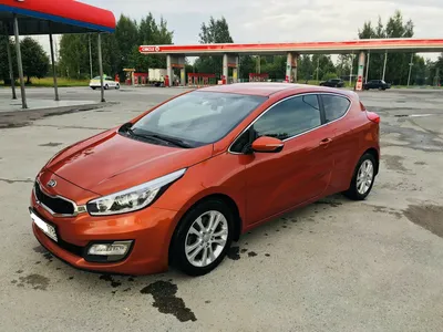 Покупка Kia — KIA Ceed (1G), 1,4 л, 2008 года | покупка машины | DRIVE2