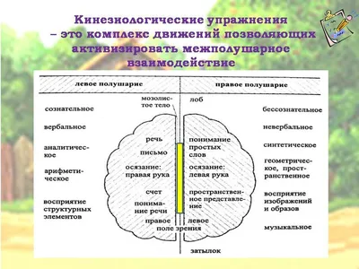 Добрый день, уважаемые коллеги!