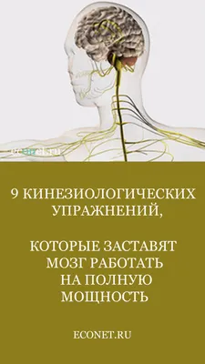 Кинезиологические упражнения, развивающие межполушарное взаимодействие.  Блог Лого-Эксперт