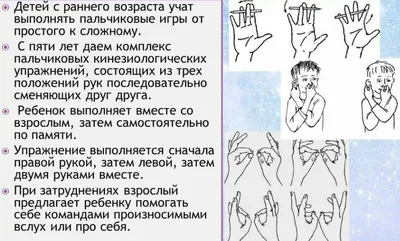 Кинезиологические упражнения, развивающие межполушарное взаимодействие.  Блог Лого-Эксперт