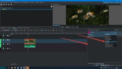 Adobe Premiere Pro — droidtv.ru