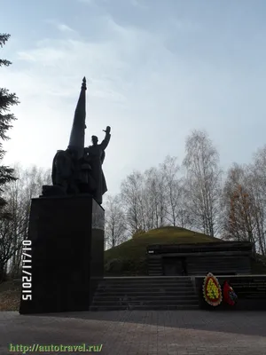 В лечебно-диагностическом центре «ЗДОРОВЬЕ» платный прием ведут врачи  высшей категории | zdorovie-kirov.ru