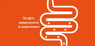 Эндерс Дж.: Очаровательный кишечник. Как самый могущественный орган  управляет нами: купить книгу по выгодной цене в интернет-магазине Marwin |  Алматы