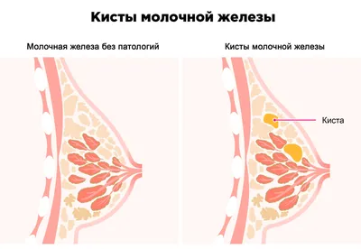 Болезни лап у собак - Ветеринарная клиника TerraVet