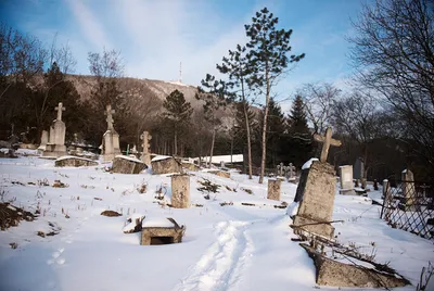 Памятники на могилу на Новодевичьем кладбище - фото и цены