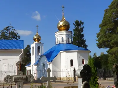 Кладбища Санкт-Петербурга - открытые и закрытые | ГКРС