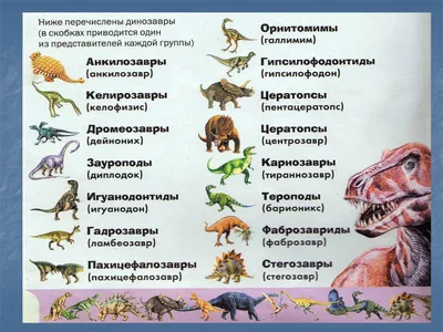 Плакат виды динозавров — купить по низкой цене на Яндекс Маркете