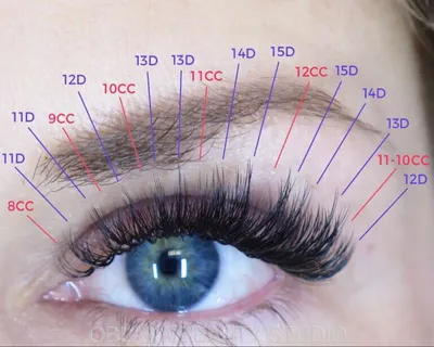 Примеры наращенных ресниц для клиентов