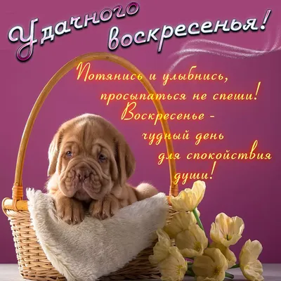 Открытка удачного воскресенья - GreetCard.ru