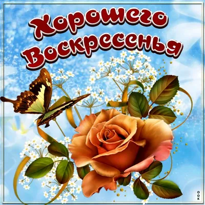 Классного воскресенья - фото и картинки: 67 штук