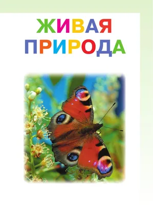 Фото из Украины попало в мировой топ-15 лучших изображений природы - Киев  Vgorode.ua