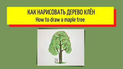 Лиственные декоративные деревья для сада с компактной кроной - статьи о  растениях