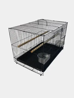 Купить клетка для птиц PetTails 41x30x76 см, бежевый, хром, цены на  Мегамаркет | Артикул: 600005311528