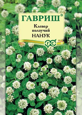 ✓ Семена Клевер ползучий белый Нанук, 20г, Гавриш по цене 0 руб. ◈ Большой  выбор ◈ Купить по всей России ✓ Интернет-магазин Гавриш ☎ 8-495-902-77-18