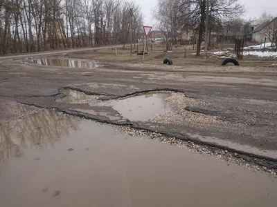 Зеленые Клинцы! — Сообщество «DRIVE2 Клинцы (Брянская область)» на DRIVE2