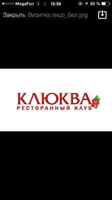 Клюква Крупноплодная Стивенс – купить саженцы в интернет-магазине Лафа с  доставкой по Москве, Московской области и России