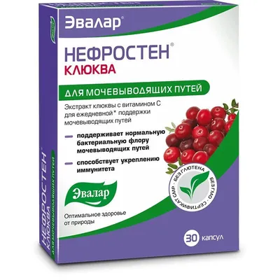 Клюква крупноплодная С1, 30 см по цене 338 ₽/шт. купить в Оренбурге в  интернет-магазине Леруа Мерлен