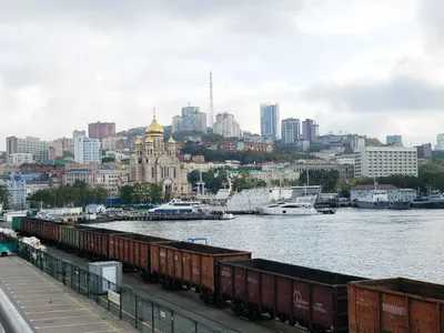 Во Владивостоке бывший клуб «Лотос» на Адмирала Фокина с земельным участком  продают за 167,75 млн рублей – Новости Владивостока на VL.ru