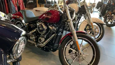 Паб и бар Harley's, Красноярск - Меню и отзывы о ресторане