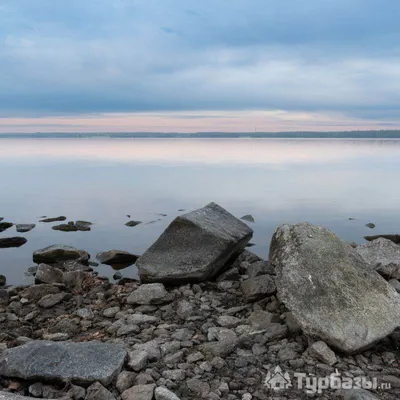 Загородный клуб «Мёд» Екатеринбург, в Свердловской области - цены 2024,  фото, отзывы