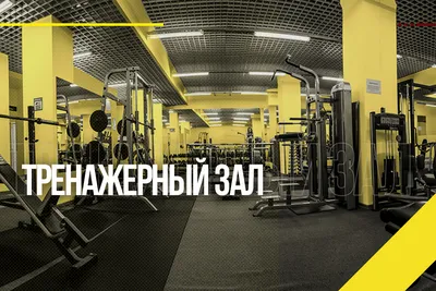 Фитнес-клуб Metrofitness в Томске - Тренажерный зал