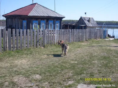 Английский хобби-клуб Городские каникулы – городской лагерь, Томск. Путевки  в детский лагерь на 2024 год