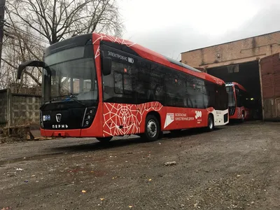 Свадебная компания Пермский парусный клуб \"Шкипер\", Пермь