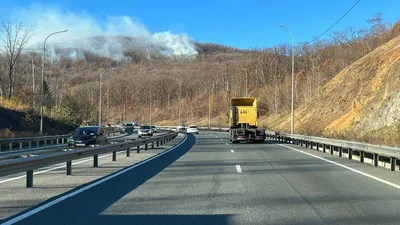 Во Владивостоке ночной клуб «Стелс» закрыли из-за нарушений пожарной  безопасности - KP.RU