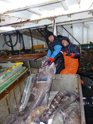 Патагонский клыкач. Полустейки заказать в Москве с бесплатной первой  доставкой