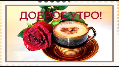 Роскошная картинка доброе утро с кофе, розой и тортом