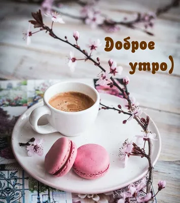 Доброе утро!🏔☕️ Лучше гор могут быть только горы, снова встали до рассвета  и отправляемся в высокогорный регион Ушгули (2200км), где … | Рассвет, Доброе  утро, Небо