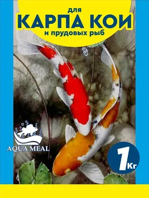 Купить карпов Кои различных окрасов с доставкой по Москве и МО