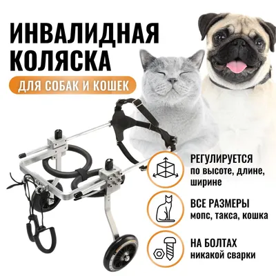 Купить Trixie BUGGY Коляска для собак, черная в Киеве и по всей Украине -  цена, отзывы в зоомагазине Зоодом Бегемот