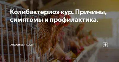 Хлортетрациклин для кур –инструкция по применению для птиц и животных  🐔🦃🐷 | Курочка | Дзен