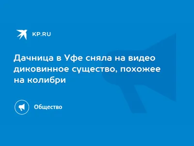 Картина на холсте Райские колибри: - Арт. 180629 | Купить в  интернет-магазине - Уютная стена