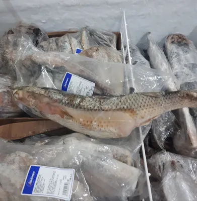 Кальмар «РыбаХит» тушка, глазированный, мороженый, 1 кг купить в Минске:  недорого в интернет-магазине Едоставка
