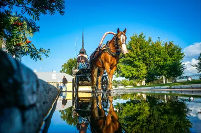 Грузоперевозки по направлению Коломна – Москва: цены, особенности маршрута