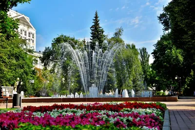 Бесплатные концерты пройдут в Кольцовском сквере Воронежа