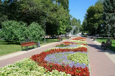 Кольцовский сквер фото - Воронеж, врн - Фотографии и путешествия © Андрей  Панёвин