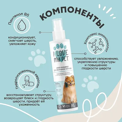 Колтуны у собак - профилактика, как расчесать? | Royal Canin