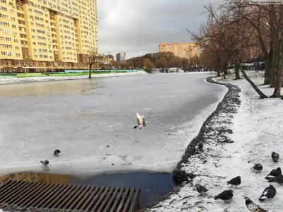 Поселение Сосенское, Пос. Коммунарка, Бачуринская улица, 8а стр. 1; Пос.  Коммунарка, Бачуринская улица, 4 корп. 4; Пос. Коммунарка, Бачуринская  улица, 4 корп. 3; Пос. Коммунарка, Бачуринская улица, 4 корп. 2; Пос.  Коммунарка, Бачуринская улица, 4 корп ...