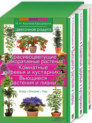 Лианы, комнатные растения/ plante agatatoare